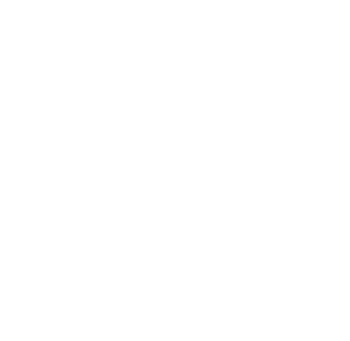 Mr Vit