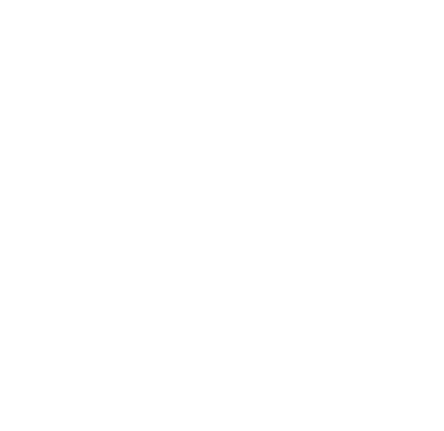 Mr Vit